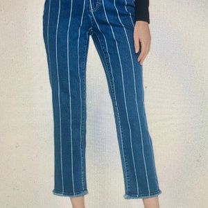 Peace Love World Mia Striped Jean - Plus Size 26